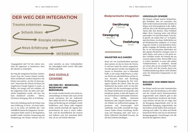 Produktbild: KastrationsTrauma - Wenn der K&ouml;rper nicht mehr zur&uuml;ckfindet