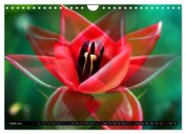 Produktbild: Bouquet d'un jour, bouquet pour toujours (Calendrier mural 2026 DIN A4 vertical), CALVENDO calendrier mensuel
