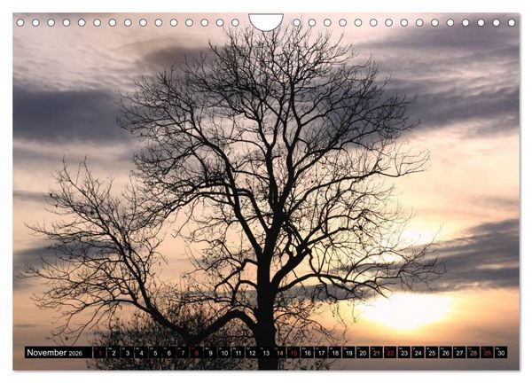 Produktbild: Momente der Stille (Wandkalender 2026 DIN A4 quer), CALVENDO Monatskalender