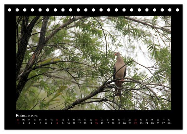 Produktbild: Mauritius - traumhaft und unvergesslich (Tischkalender 2026 DIN A5 quer), CALVENDO Monatskalender