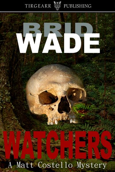 Produktbild: Watchers (A Matt Costello Mystery, book one)