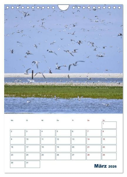 Produktbild: Texel - Momente die verzaubern (Wandkalender 2026 DIN A4 hoch), CALVENDO Monatskalender