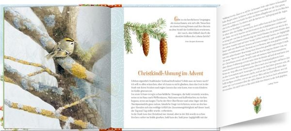 Zauberhafte Weihnachtszeit!