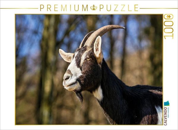 CALVENDO Puzzle Was für eine Ziegenschönheit | 1000 Teile Lege-Größe 64x48cm Foto-Puzzle für glückliche Stunden