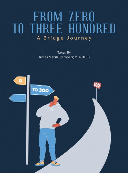 Produktbild: From Zero to Three Hundred