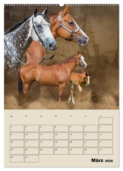 Produktbild: Pferdetr&auml;umereien - Traumbilder von Traumpferden (Wandkalender 2026 DIN A2 hoch), CALVENDO Monatskalender
