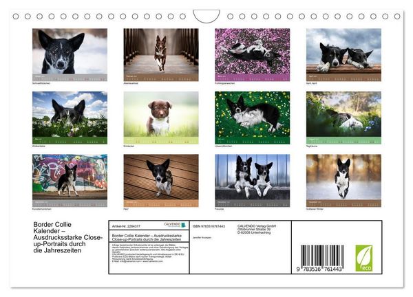 Produktbild: Border Collie Kalender &ndash; Ausdrucksstarke Close-up-Portraits durch die Jahreszeiten (Wandkalender 2027 DIN A4 quer), CALVENDO Monatskalender