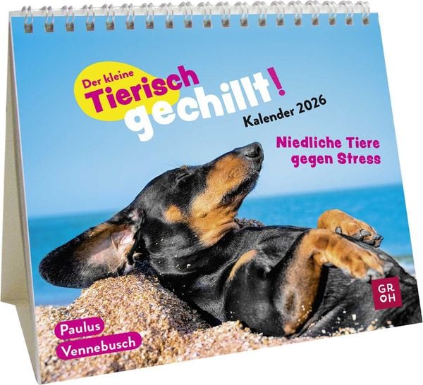Produktbild: Mini-Kalender 2026: Der kleine Tierisch gechillt! Kalender
