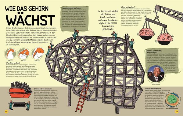Produktbild: So funktioniert dein Superhirn