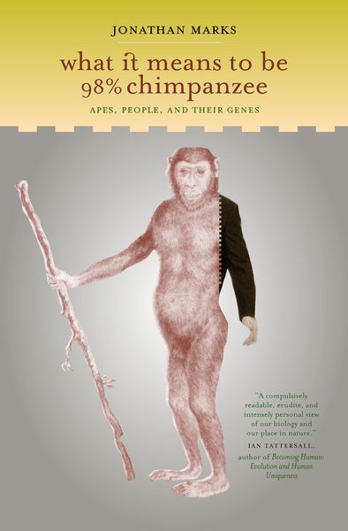 Produktbild: What It Means to Be 98% Chimpanzee