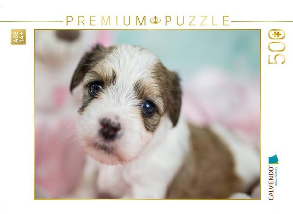 CALVENDO Puzzle Kuckuck | 500 Teile Lege-Größe 48 × 36 cm Foto-Puzzle für Erwachsene