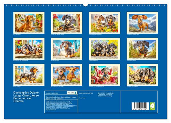 Produktbild: Dackelgl&uuml;ck Deluxe. Lange Ohren, kurze Beine und viel Charme (hochwertiger Premium Wandkalender 2026 DIN A2 quer), Kunstdruck in Hochglanz