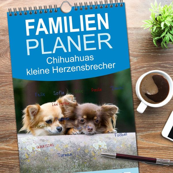 Produktbild: Familienplaner 2026 - Chihuahuas - kleine Herzensbrecher mit 5 Spalten (Wandkalender, 21 x 45 cm) CALVENDO