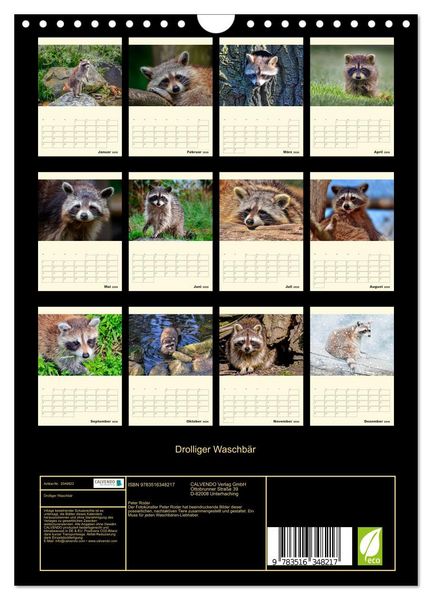 Produktbild: Drolliger Waschb&auml;r (Wandkalender 2026 DIN A4 hoch), CALVENDO Monatskalender