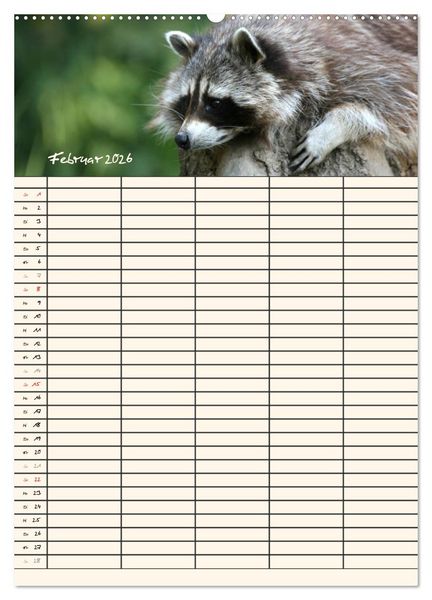 Produktbild: Waschb&auml;ren Familienplaner (Wandkalender 2026 DIN A2 hoch), CALVENDO Monatskalender