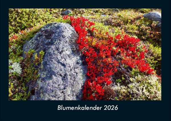 Produktbild: Blumenkalender 2026 Fotokalender DIN A4