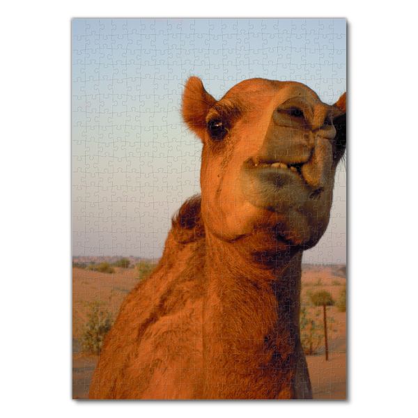 Produktbild: Lais Puzzle Kamel 500 Teile