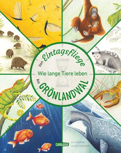Produktbild: Von Eintagsfliege bis Gr&ouml;nlandwal