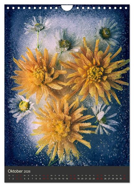 Produktbild: Magische Eisblumen (Wandkalender 2026 DIN A4 hoch), CALVENDO Monatskalender
