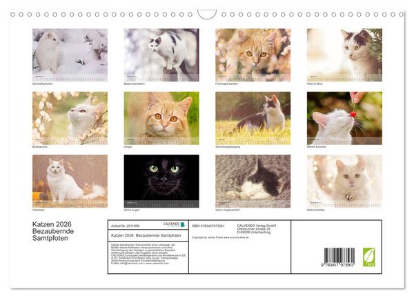 Produktbild: Katzen 2026 Bezaubernde Samtpfoten (Wandkalender 2026 DIN A3 quer), CALVENDO Monatskalender