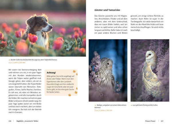 Produktbild: Tierische Momente fotografieren