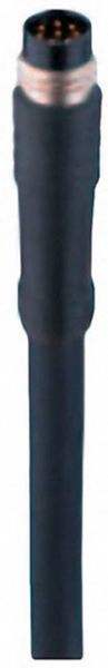 Produktbild: Belden 934636169-1 Sensor-/Aktor-Steckverbinder, konfektioniert M8 Stecker, gerade 2.00 m Polzahl Sensoren: 8 1 St.