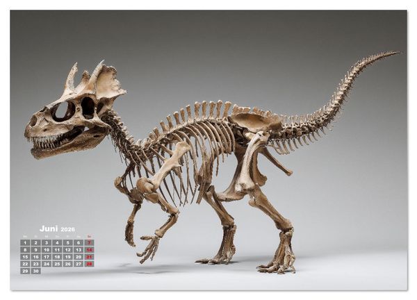 Produktbild: Knochen der Giganten - Dinosaurier im Portr&auml;t (Wandkalender 2026 DIN A2 quer), CALVENDO Monatskalender
