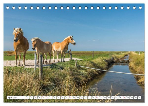Produktbild: Schleswig-Holstein (Tischkalender 2026 DIN A5 quer), CALVENDO Monatskalender