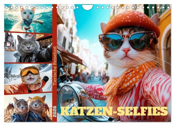 Produktbild: KATZEN-SELFIES Tierische Reiselust (Wandkalender 2026 DIN A4 quer), CALVENDO Monatskalender