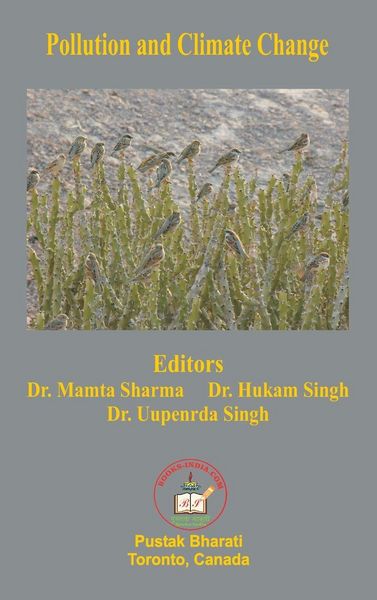 Produktbild: Pollution and Climate Change