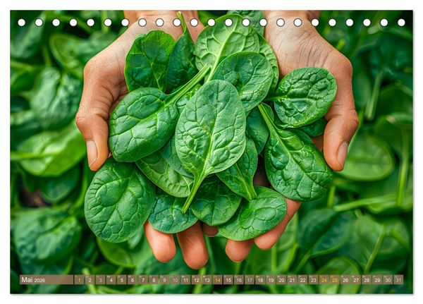 Produktbild: Mein Gem&uuml;segarten - Ein Jahr knackig frisches Gem&uuml;se (Tischkalender 2026 DIN A5 quer), CALVENDO Monatskalender