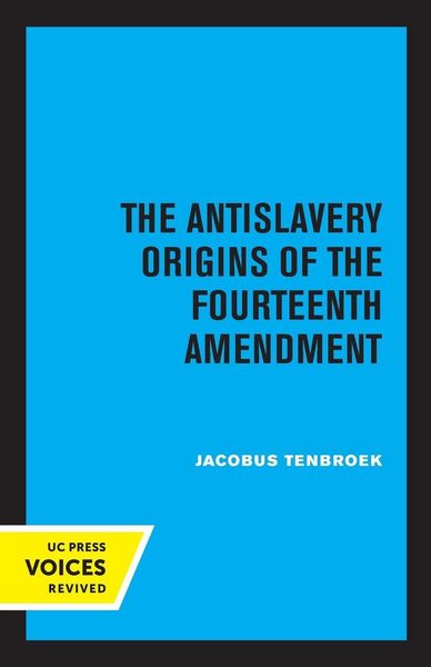 Produktbild: The Antislavery Origins of the Fourteenth Amendment