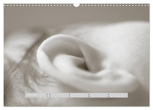 Produktbild: ...so winzig - Babykalender (Wandkalender 2026 DIN A3 quer), CALVENDO Monatskalender