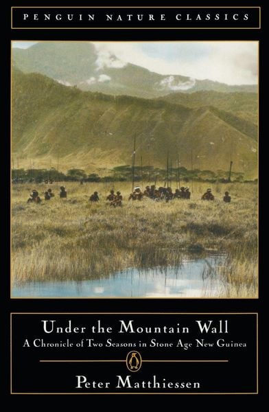 Produktbild: Under the Mountain Wall