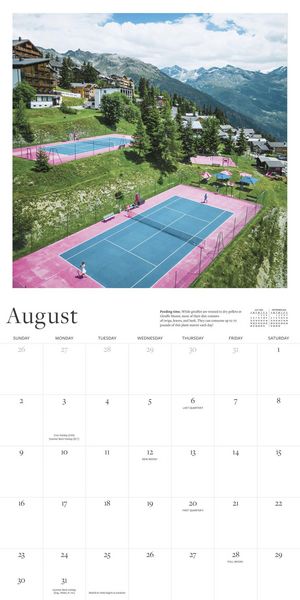 Produktbild: The Tennis Court Wall Calendar 2026