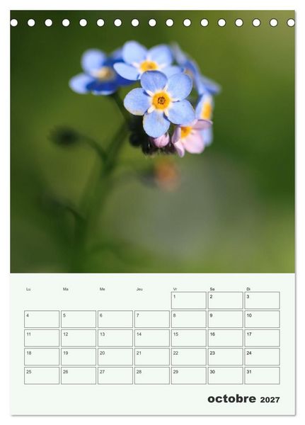 Produktbild: Fleurs en toute simplicit&eacute; - Beaut&eacute; minimaliste (Calendrier de bureau 2027 DIN A5 horizontal), CALVENDO calendrier mensuel
