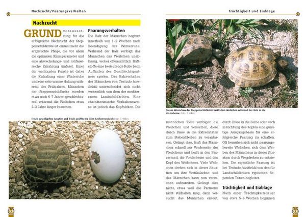 Produktbild: Die Steppenschildkr&ouml;te