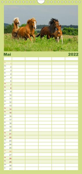 Produktbild: Welt der Pferde - Familienplaner hoch (Wandkalender 2022 , 21 cm x 45 cm, hoch)