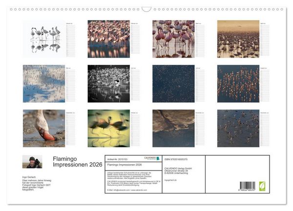 Produktbild: Flamingo Impressionen 2026 (Wandkalender 2026 DIN A2 quer), CALVENDO Monatskalender