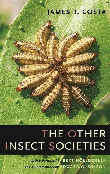 Produktbild: Costa, J: The Other Insect Societies