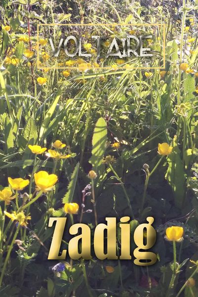 Produktbild: Zadig