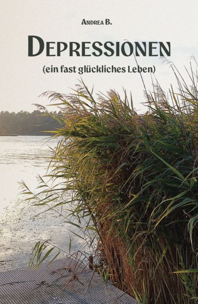 Produktbild: Depressionen