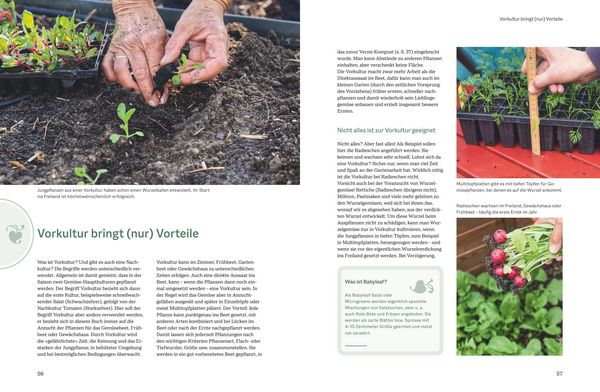 Produktbild: Der optimale Gem&uuml;segarten