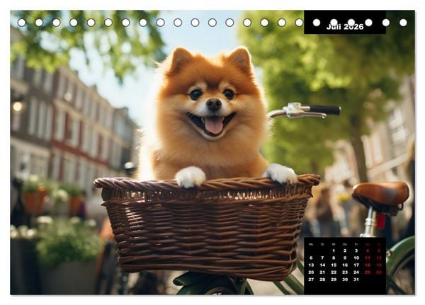 Produktbild: Zwergspitze - kleine Hunde, gro&szlig;e Pers&ouml;nlichkeiten (Tischkalender 2026 DIN A5 quer), CALVENDO Monatskalender