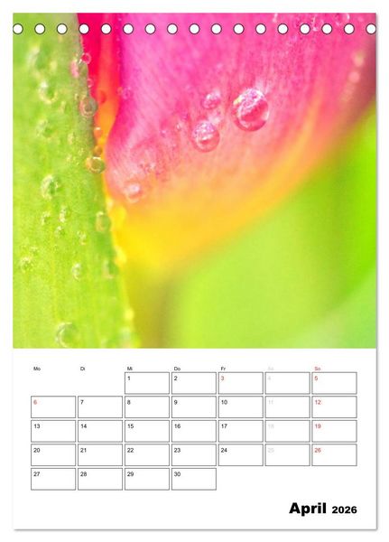 Produktbild: Zauberhafte Bl&uuml;tenwelt / Planer (Tischkalender 2026 DIN A5 hoch), CALVENDO Monatskalender