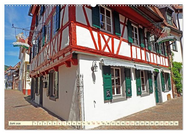 Produktbild: Gru&szlig; aus Neustadt an der Weinstra&szlig;e (Wandkalender 2026 DIN A2 quer), CALVENDO Monatskalender