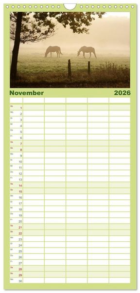 Produktbild: Familienplaner 2026 - Faszination Pferde mit 5 Spalten (Wandkalender, 21 x 45 cm) CALVENDO