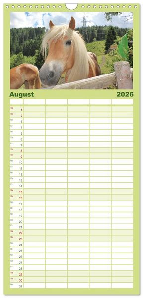Produktbild: Familienplaner 2026 - Alpenpferde mit 5 Spalten (Wandkalender, 21 x 45 cm) CALVENDO