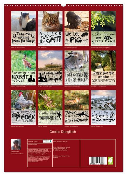 Produktbild: Cooles Denglisch (hochwertiger Premium Wandkalender 2026 DIN A2 hoch), Kunstdruck in Hochglanz