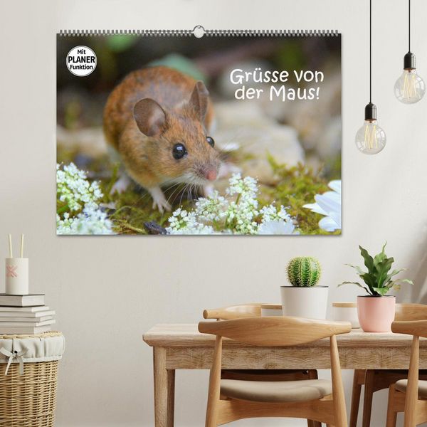 Produktbild: Gr&uuml;sse von der Maus! (Wandkalender 2026 DIN A2 quer), CALVENDO Monatskalender